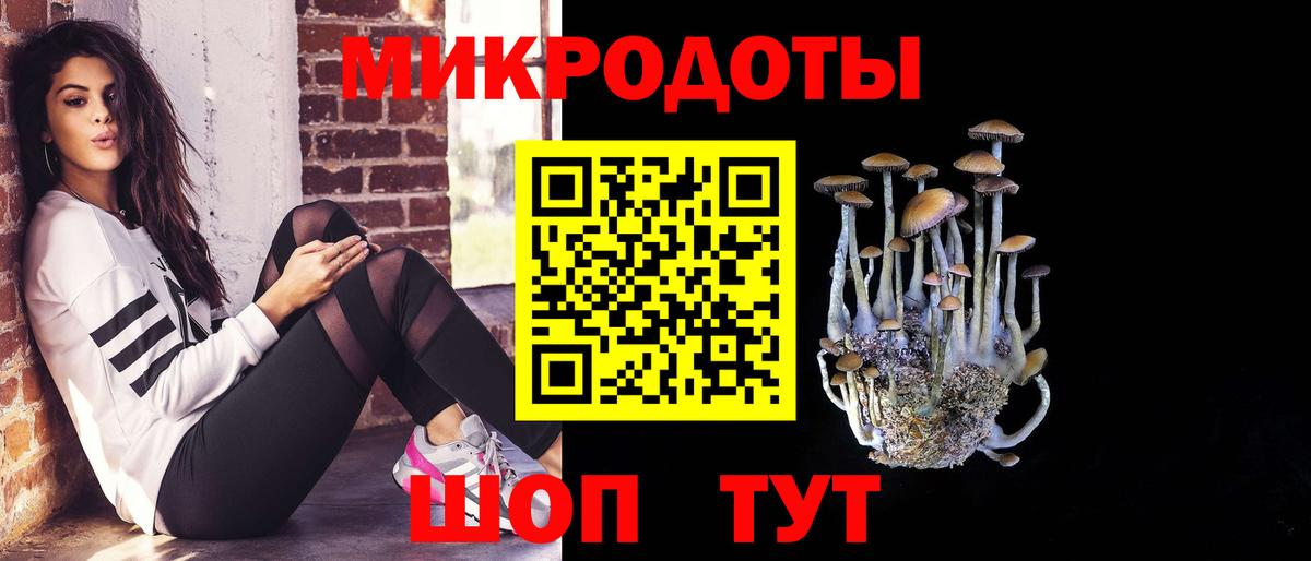 Мытищи  Галлюциногенные грибы Psilocybe  Вход с VPN 