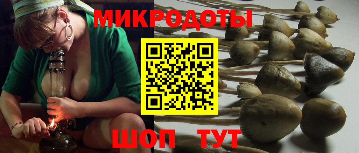 Галлюциногенные грибы мицелий Мытищи