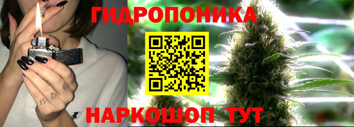 Бошки Шишки семена  Вход с VPN  МАРИХУАНА AK-47  Мытищи  Марихуана план 
